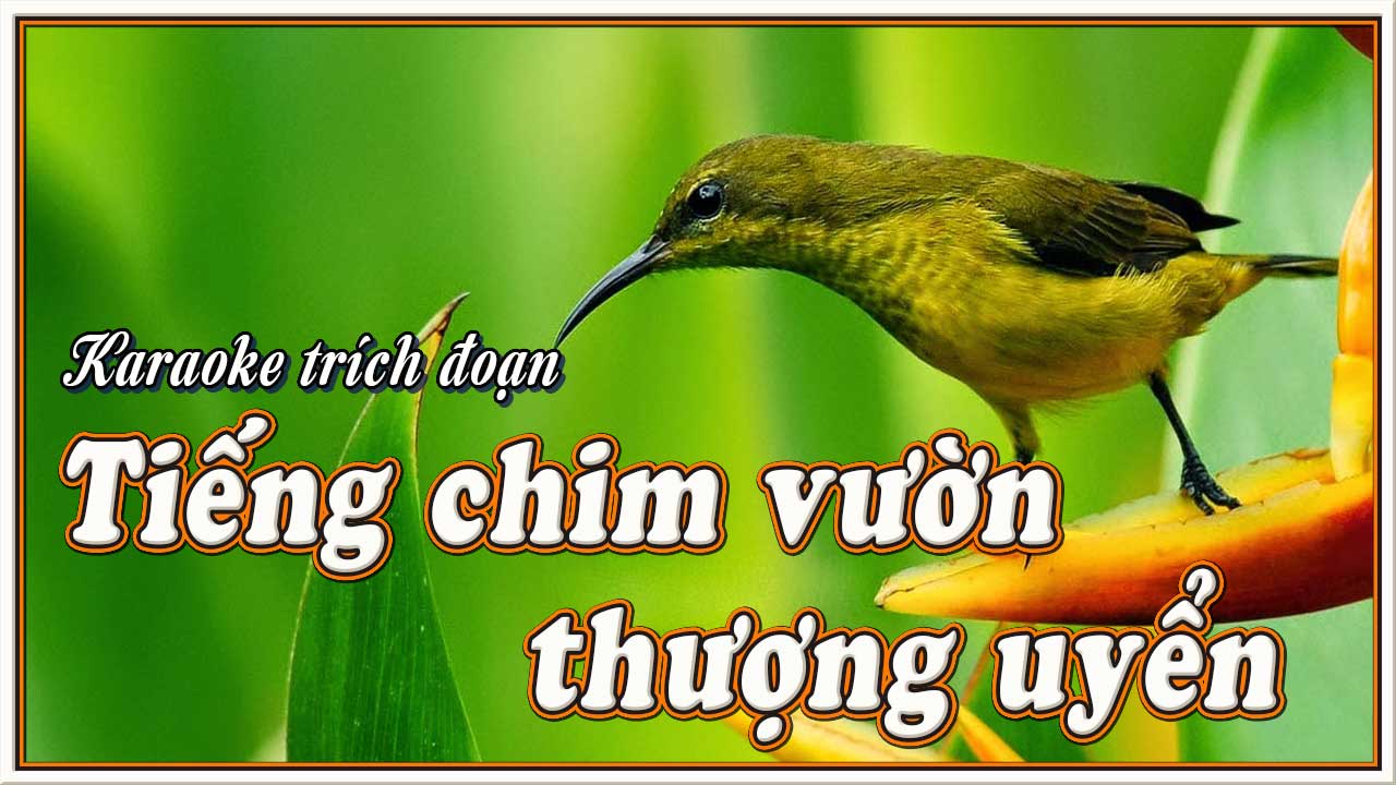 Tiếng chim vườn thượng uyển